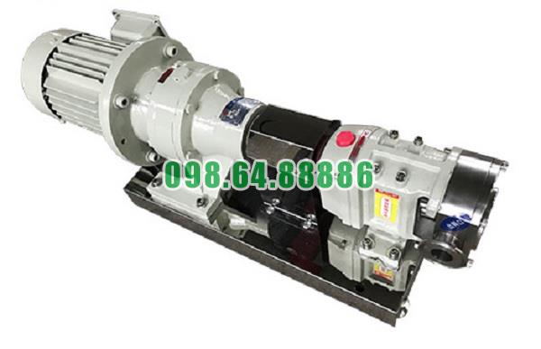 Máy bơm lobe 3RP-80 công suất 11 kW áp suất 0.7 MPa