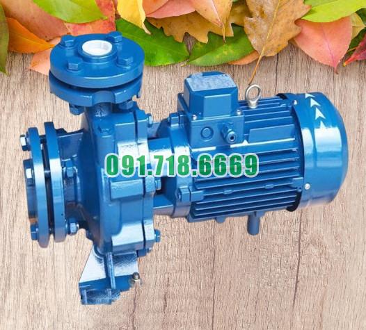 Máy bơm nước li tâm trục ngang CM50-125B động cơ điện 3 kw