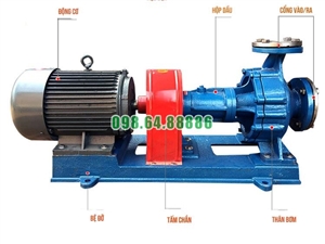 Bơm dầu chịu nhiệt RY125-80-160 Lưu lượng 160 m3/h, công suất 22 kW, cột áp 50 m